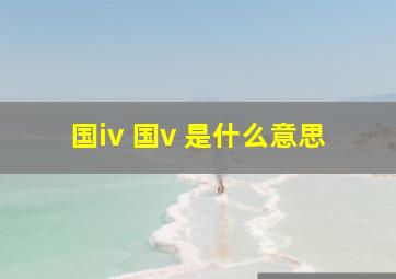 国iv 国v 是什么意思